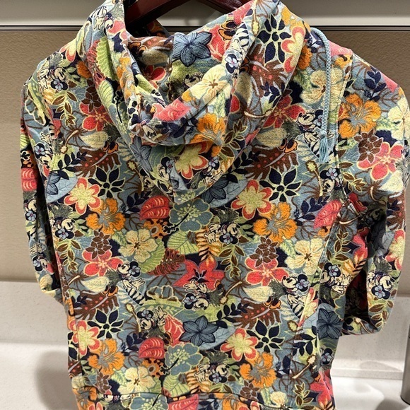 Disneyland Resort Hidden Mickey Colourful Full Zip Kangaroo Pocket Sweater - Picture 2 of 6